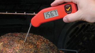 Your Pick For Best Meat Thermometer: Thermapen